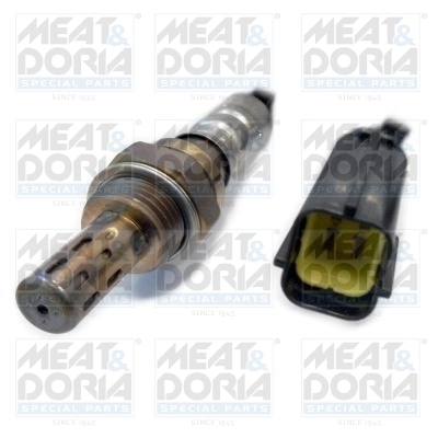 Oxygen Sensor